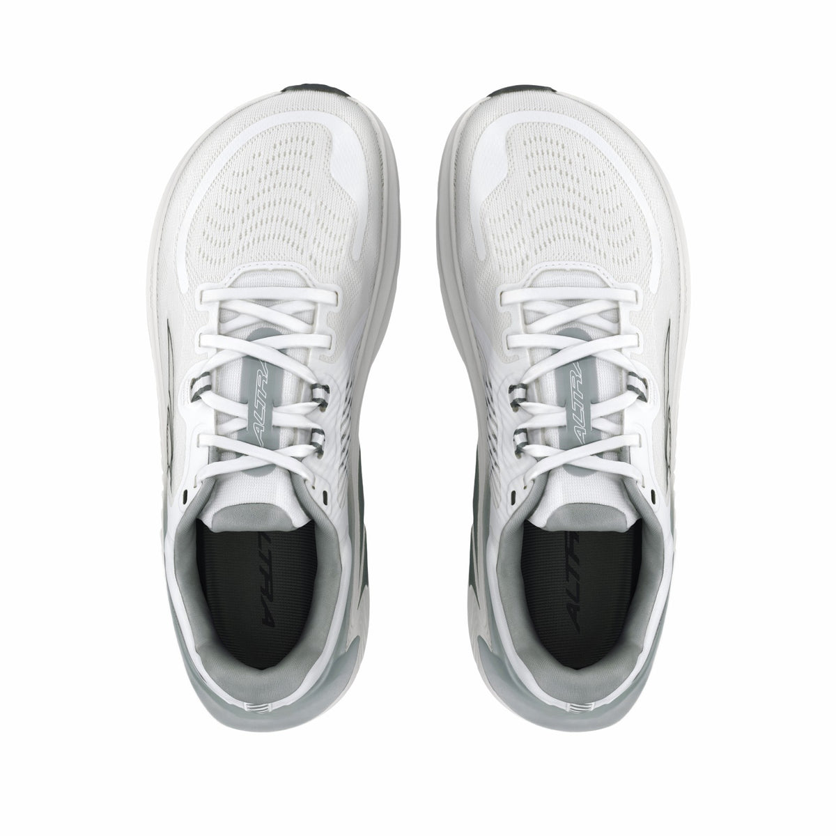 Women's Paradigm 7