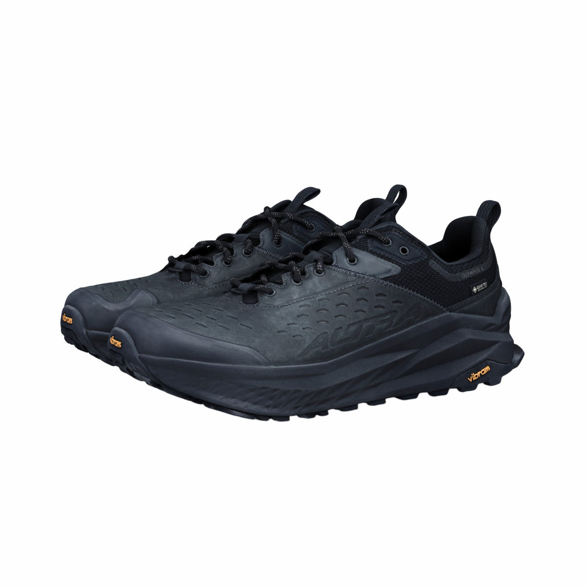 Men's Olympus 6 Hike Low GTX