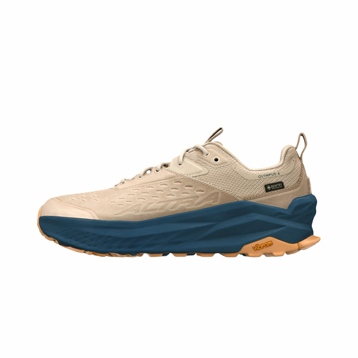 Men's Olympus 6 Hike Low GTX